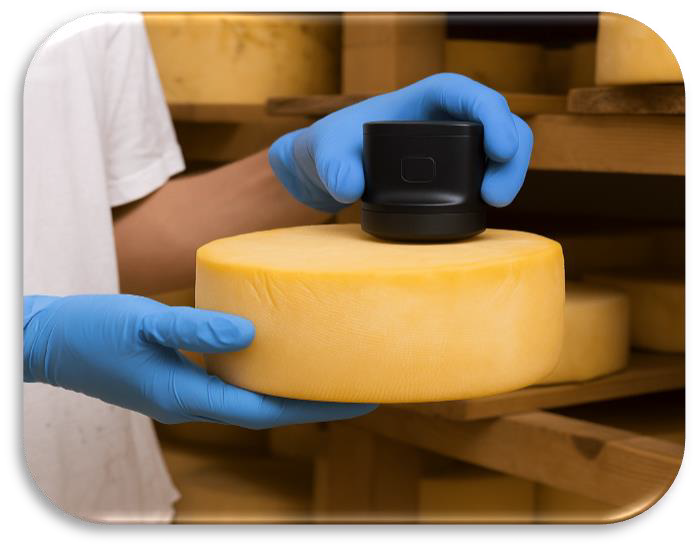 Spectrometer on cheese